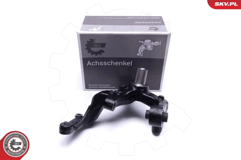 Steering Knuckle, wheel suspension